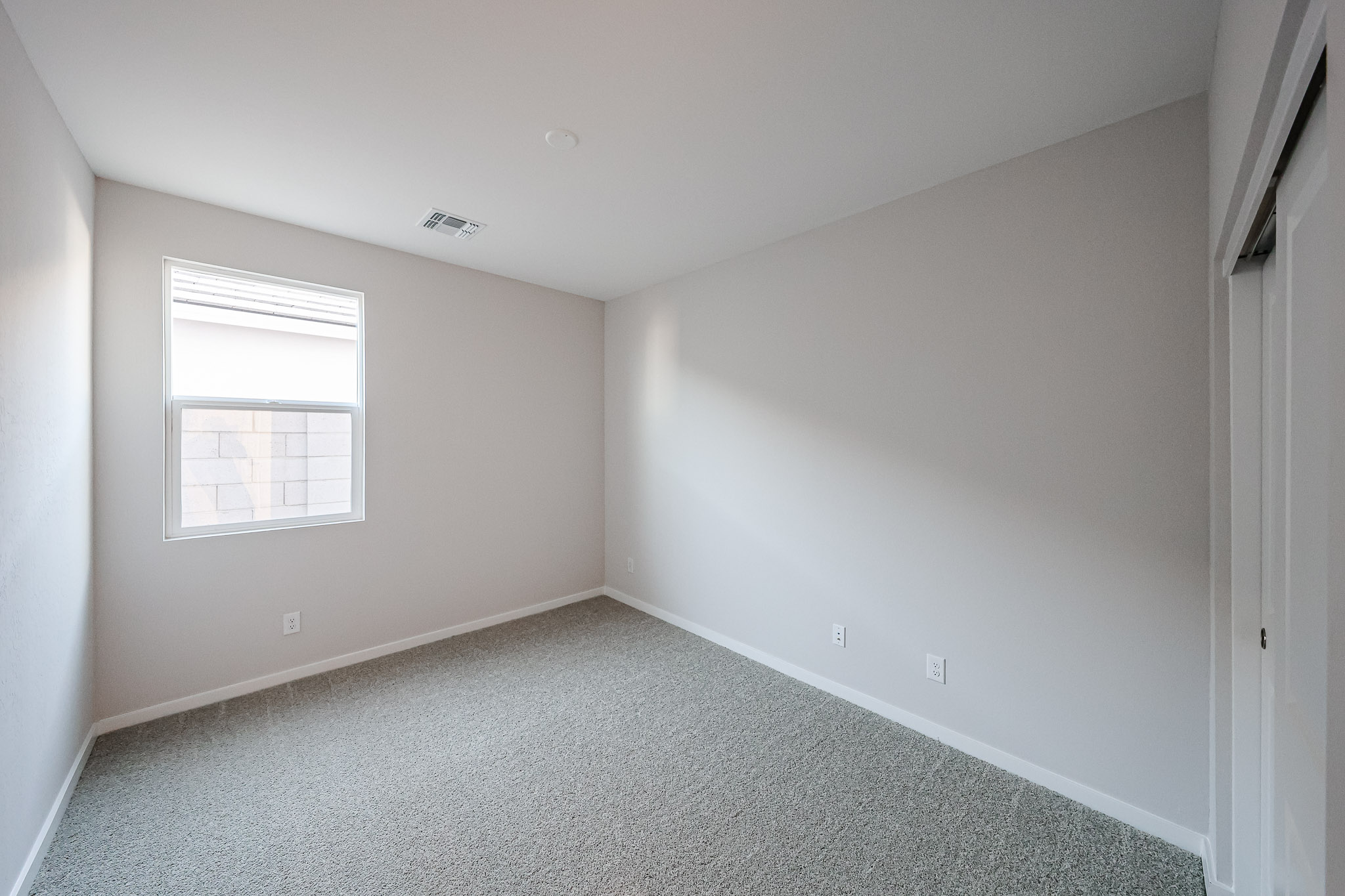 A room with a carpet and windows.