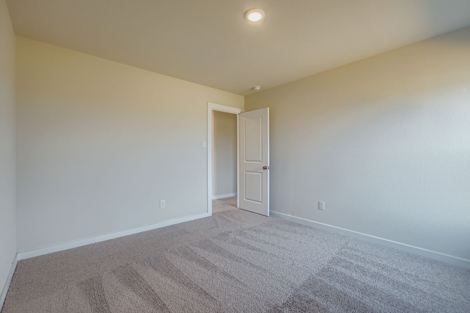 A hallway with a door and a carpet.