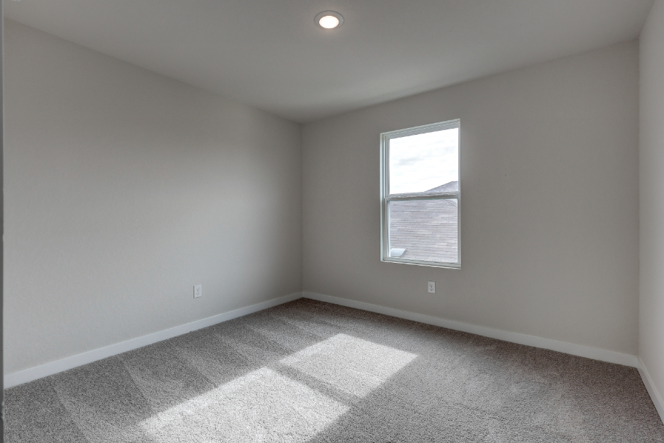 A room with a window and a rug.
