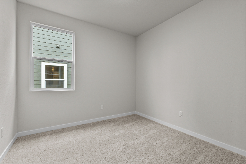 A room with a carpet and windows.